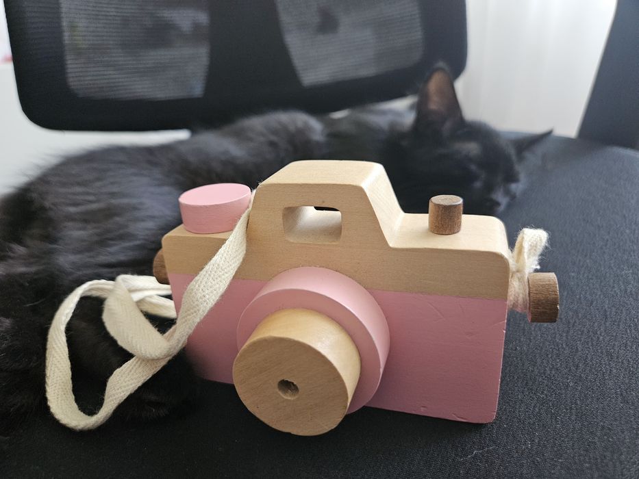 Aparat foto jucarie din lemn