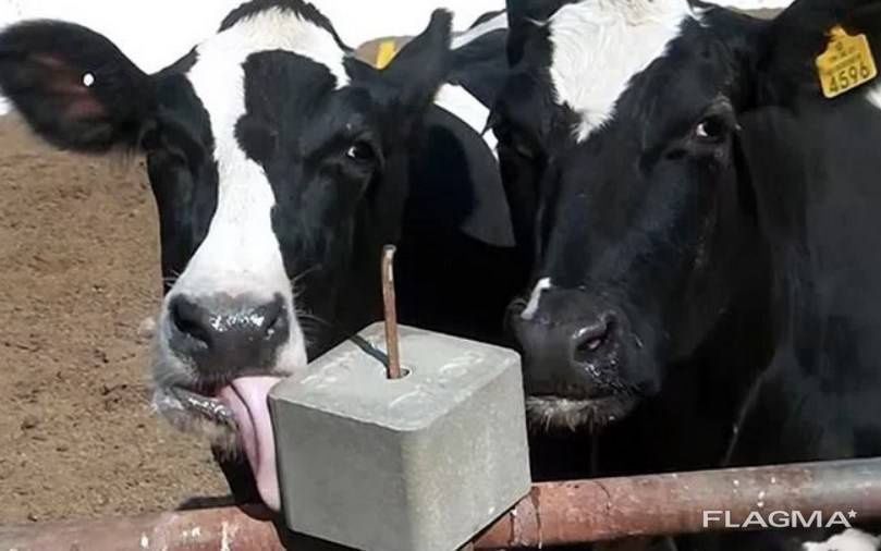 Ялама туз, пресланган туз, техник туз, Чанги олинган Ош туз.