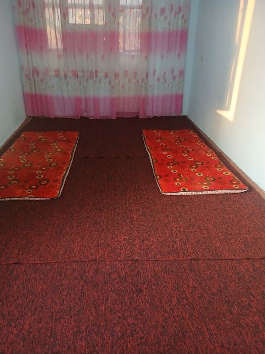 Qarshi shahar viloyat pirakiraturasi yonida