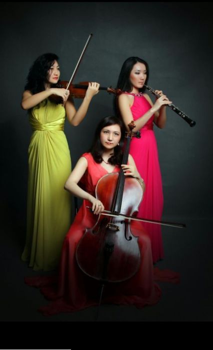 Музыканты:Arco скрипка и виолончель,трио GOOD MOOD, Brillante,квартет