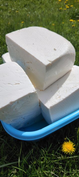 Brânză de vacă, grasă și gustoasă