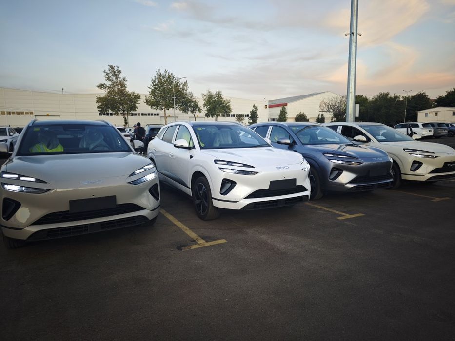 Byd Sea Lion 06 full