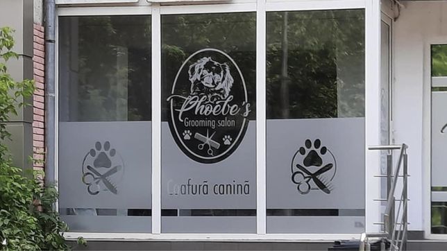 Coafura canina Grooming salon