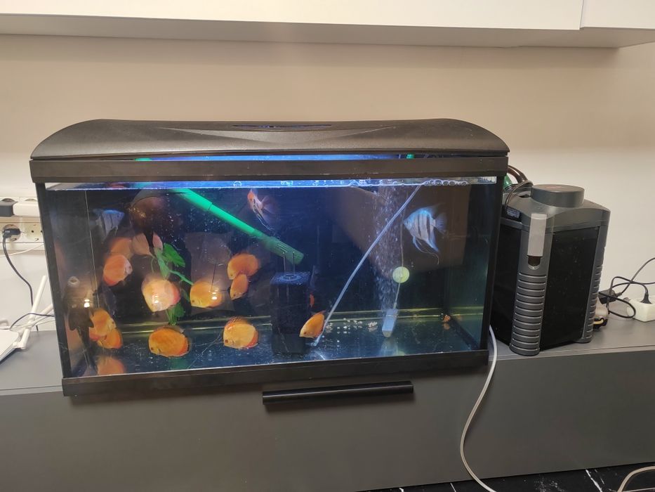 Vând acvariu 110 litrii wave și filtru extern (fara pesti)