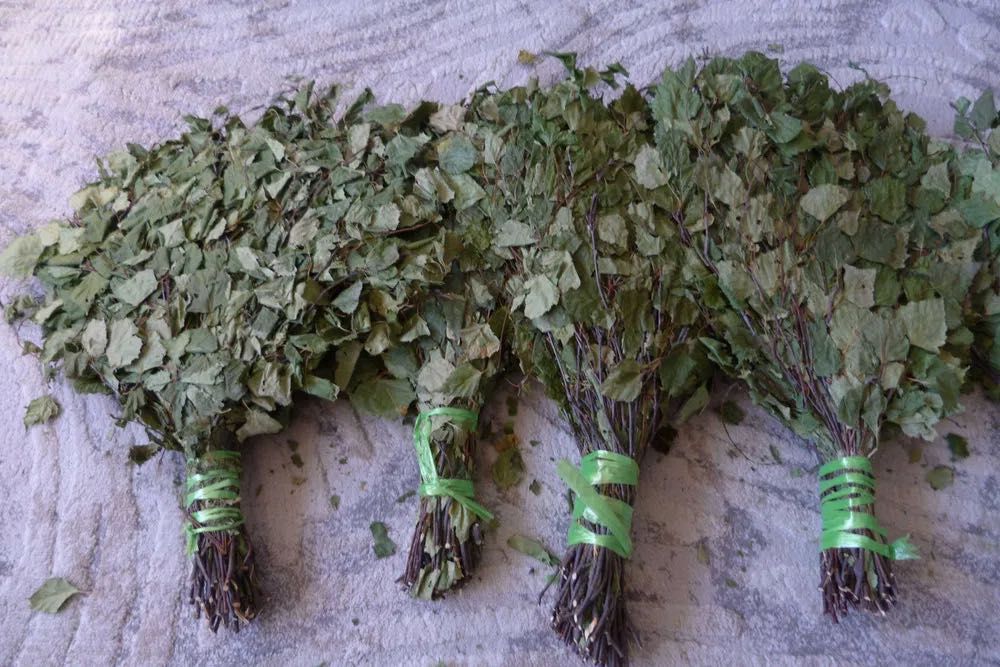 Веники банные дубовые березовые в наличии