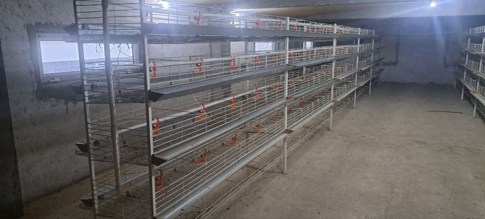 Xar xil qushlar uchun va tovuq bedana qafaslari sotiladi