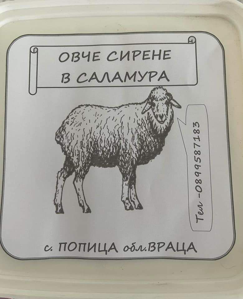 Домашно овче сирене