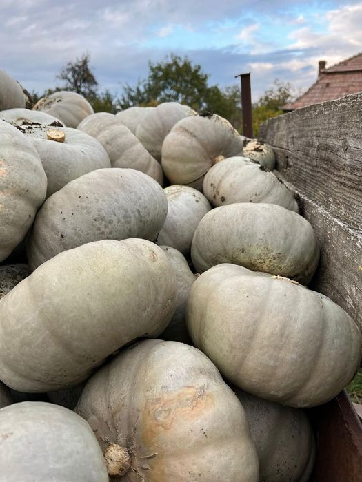 Dovleac dulce pentru cuptor