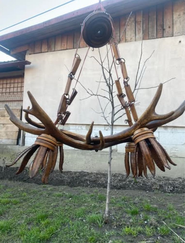 Troofeu și Candelabre din Coarne de cerb