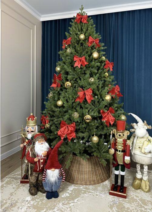 Новогодние ёлочки живые срубленые из России сочно зелёные с оромат. Зе