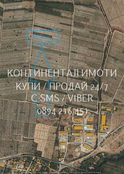 код 63108. Лозе 1600м2, гледано в идеално състояние и големи добиви.