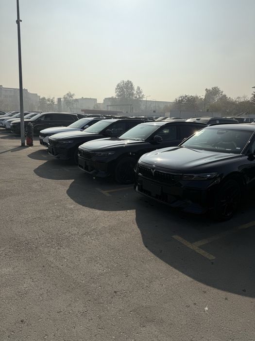 Voyah Free appola Tech 318 full