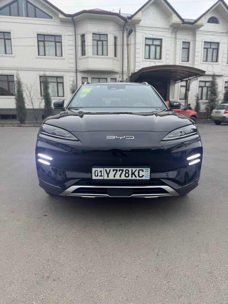 Byd 2024 Champion  605km