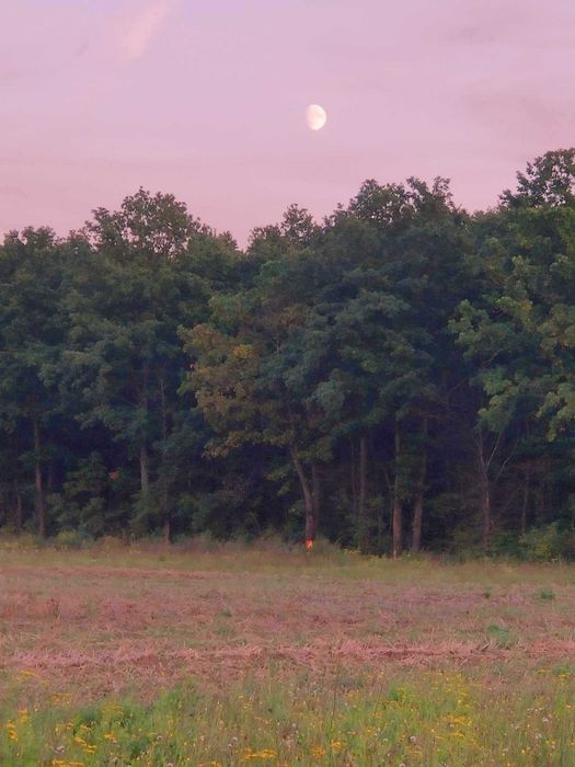 Teren INTRAVILAN CONSTRUIBIL parcelabil  COMISION 0% Alparea si Cheriu