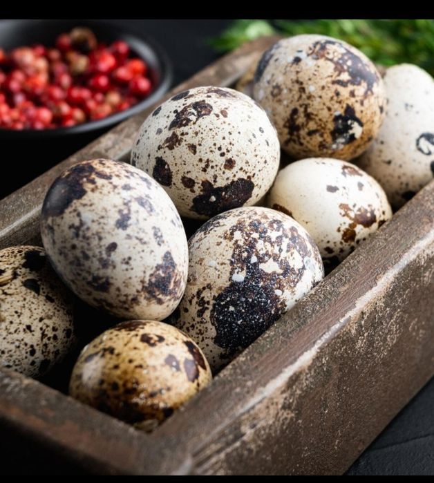 Бодене жұмыртқасы свежый