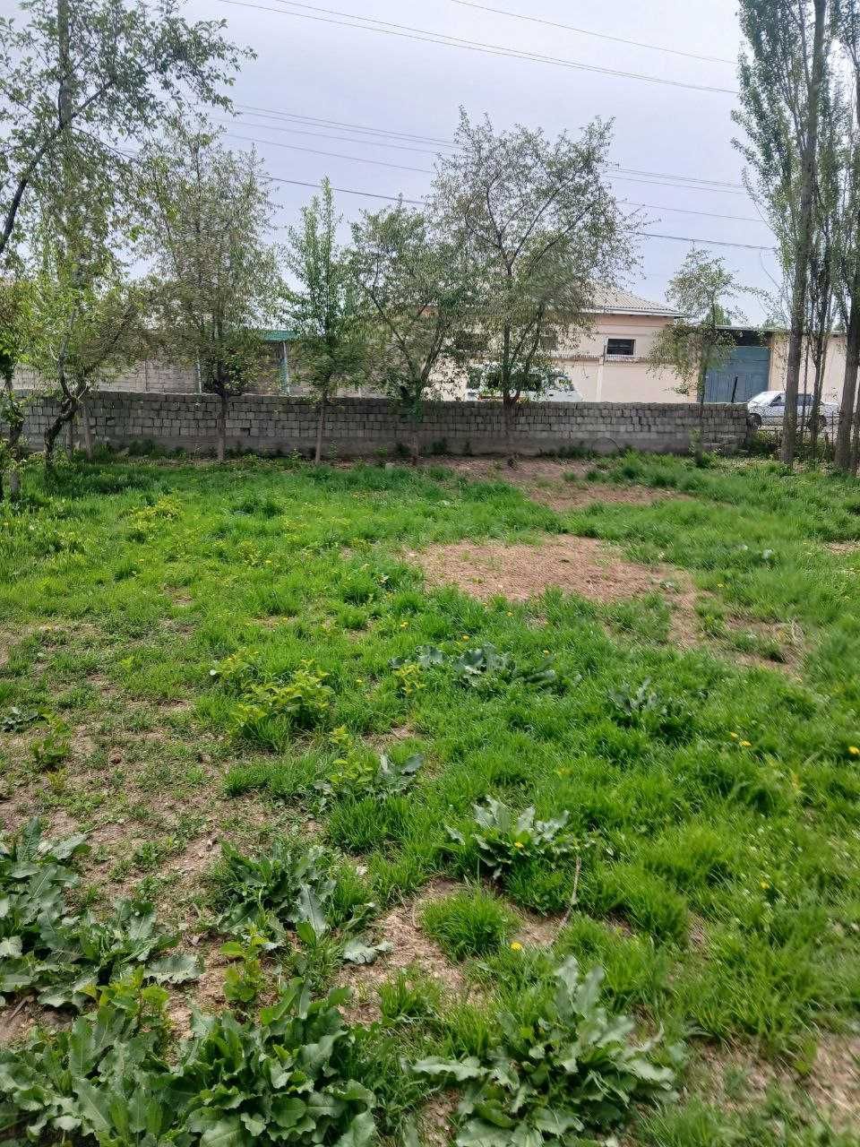 Срочно продам земля в хорошим месте