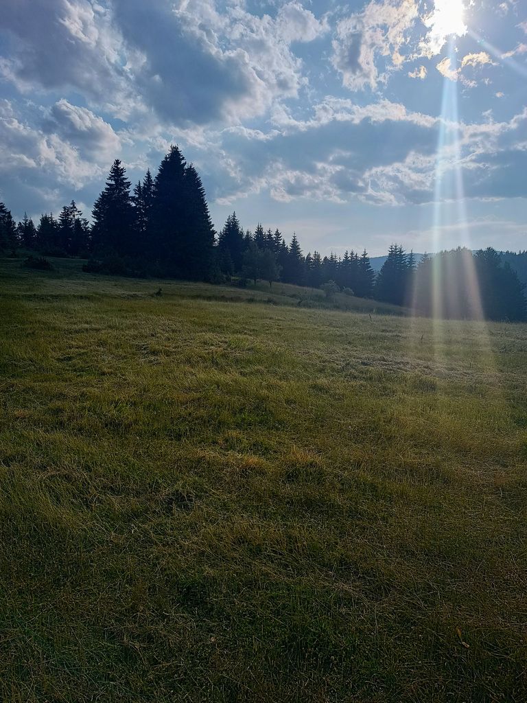 Продава се Парцел в с. Проглед, Област Смолян - 12660 кв.м за 18 €/кв.м - Снимка #4