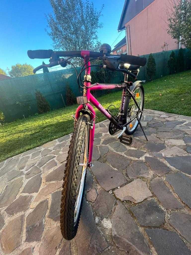 Bicicleta Giant Terrago
