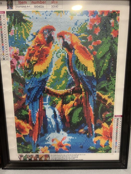 Диамантен гоблен - 30х40 поставен в рамка