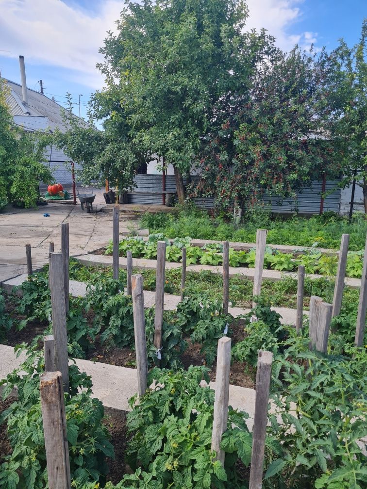 Продам дом.поселок Восход район таймас  улица Заливная 42