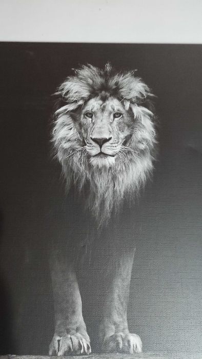 Картина черно-бял принт върху полиестерно платно в дървена подрамка