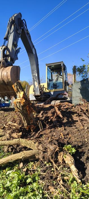 Defrisari-curățări-igienizari-împrejmuiri teren-garduri