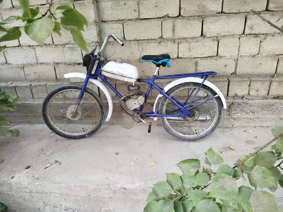 Velomator sotladi