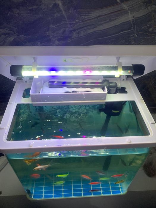 Аквариум.                 .