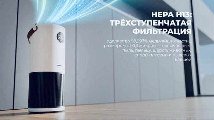 HOFMANN Havo tozalagich + namlagich 2in1