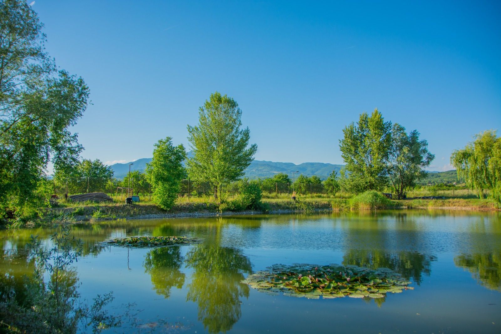 Inchiriez pensiune calimanesti caciulata 4 camere lac pescuit piscina