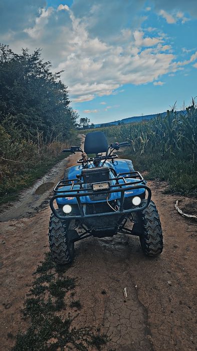 Linhai 300cc 2x4