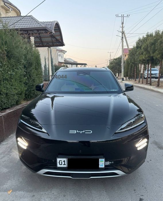 Byd champion 2024 Honor,full chempion,chempion,чемпион,сонг плюс,bivay