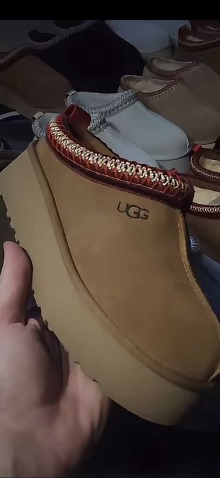Ugg tazz {Calitate premium}