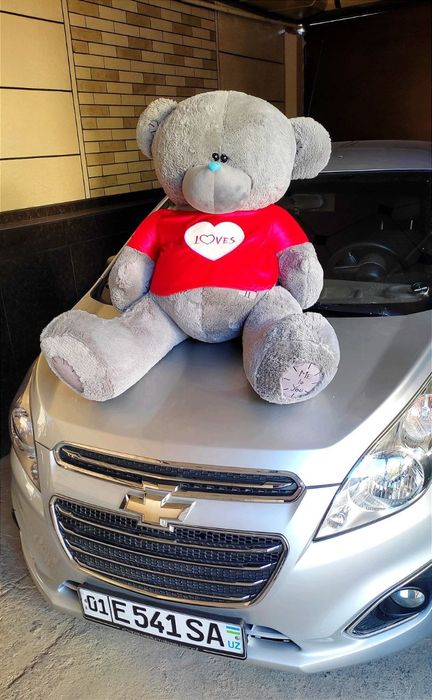 Tedi ayiq teddy orginal miyahki