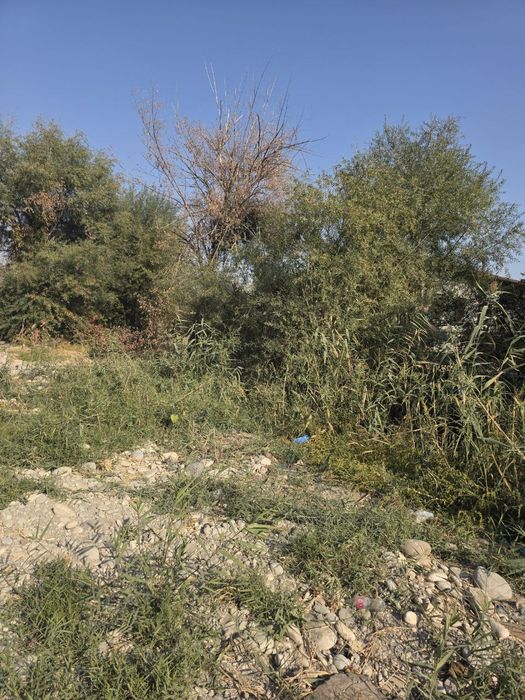 Қибрай тумани Бурота Ӯткир маҳалласида 8 сот. ер участкаси сотилади.