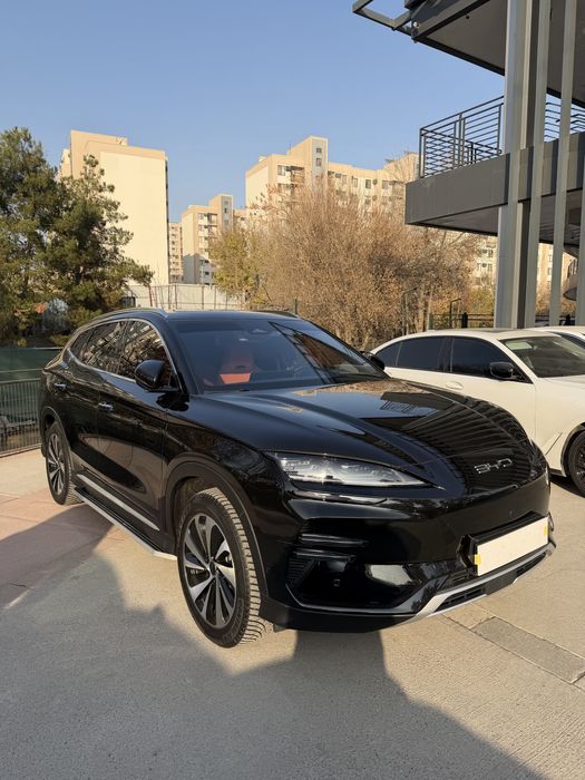 2024 Byd chempion 605