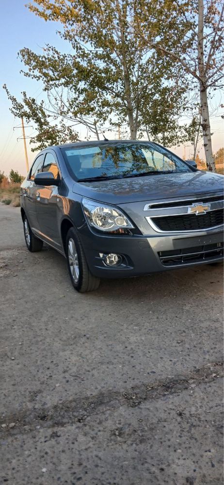 Cobalt gx-style at plus