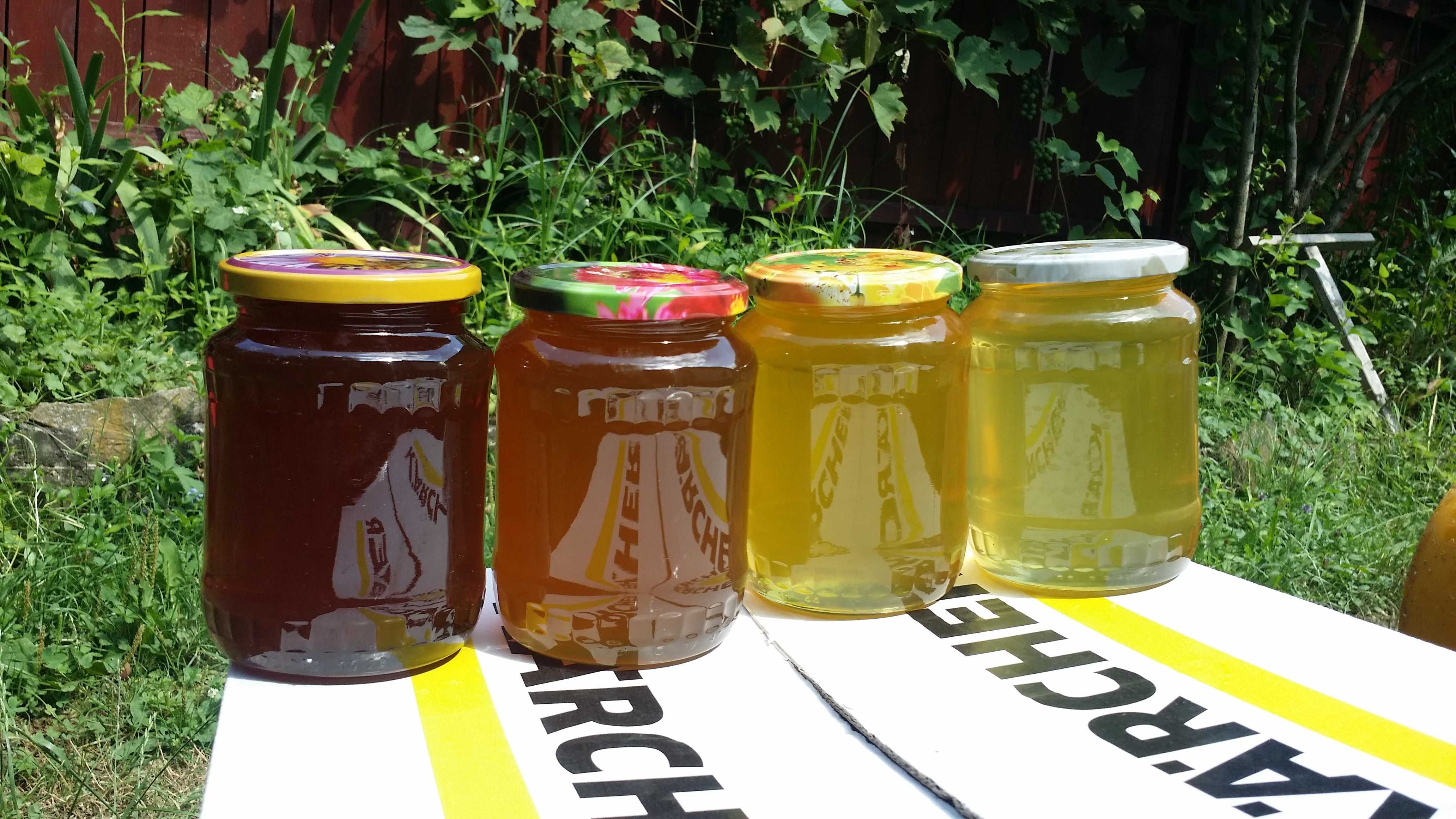 Vand miere de albine: salcam, poliflora,  stupina certificata ecologic
