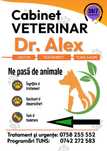 Cabinet Veterinar Ploiești – Dr. Alex | Consultații, Tratamente, Tuns