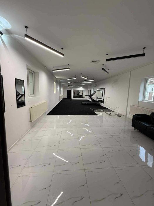 De Inchiriat Seini cental