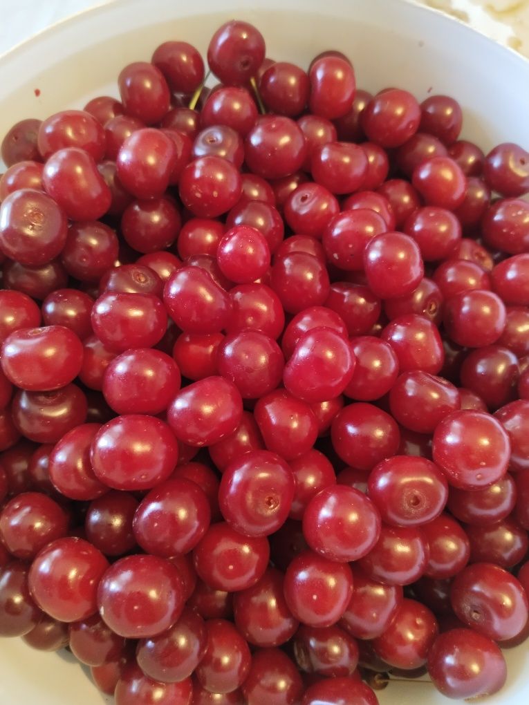 Продам свежие собраную вишню