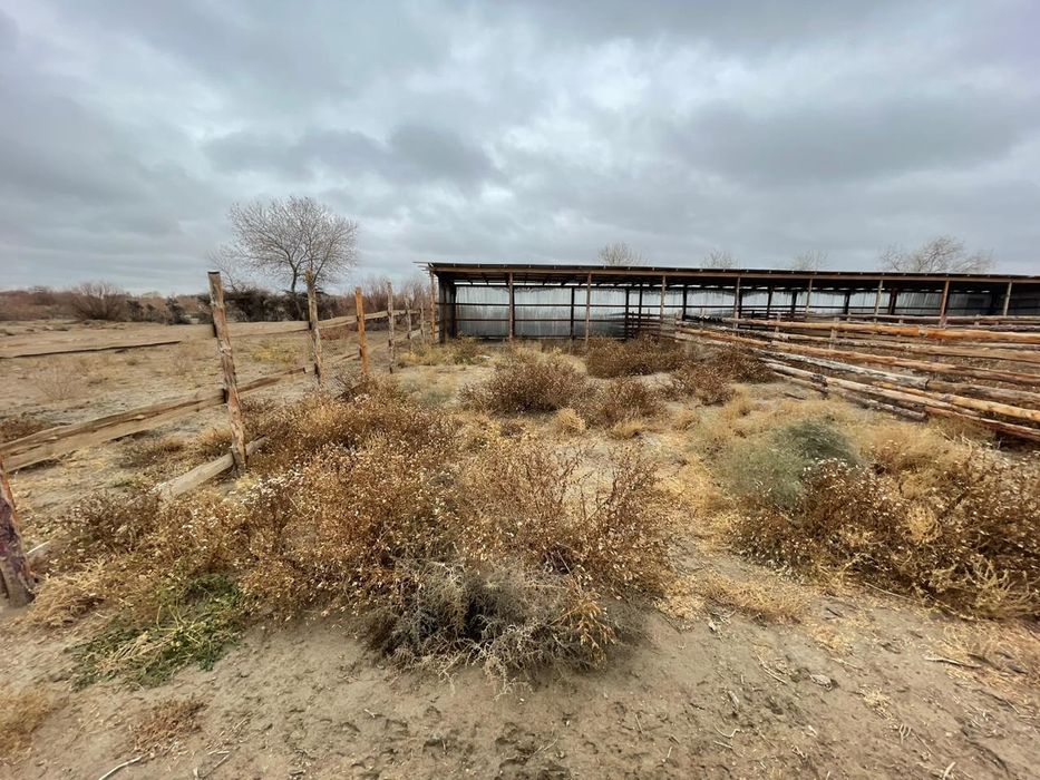 Фазенда сатылады 9 гектар жер. Свет су бар. Трассага жакын. Бакша егуг