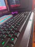 Razer Cynosa - bundle