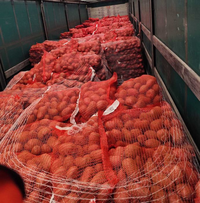 Vand cartof rosu,import Franta