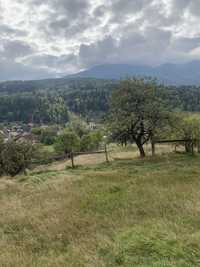 Teren intravilan zona Omv Borsa