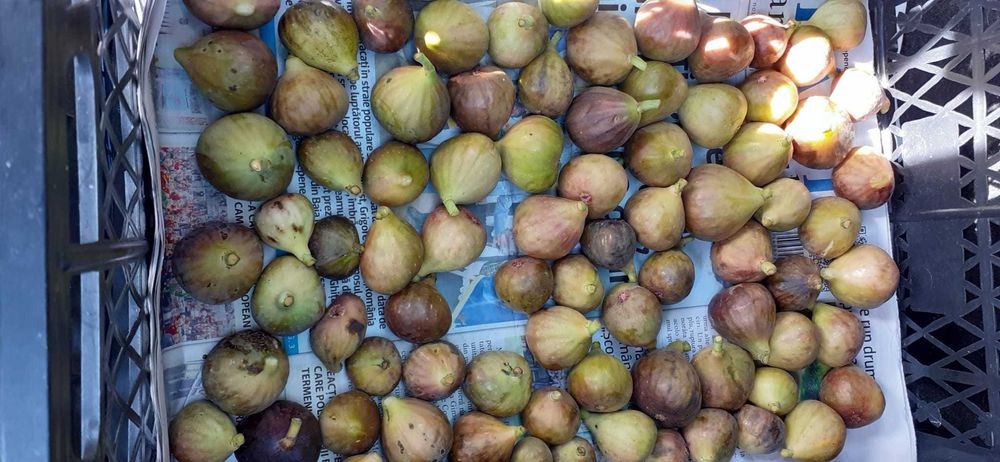 smochine dulci siropoase direct din pom