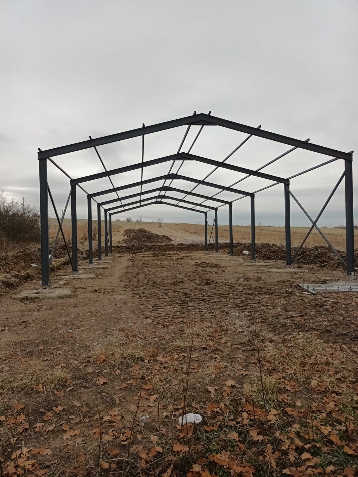 Vand Hale metalice 10x24