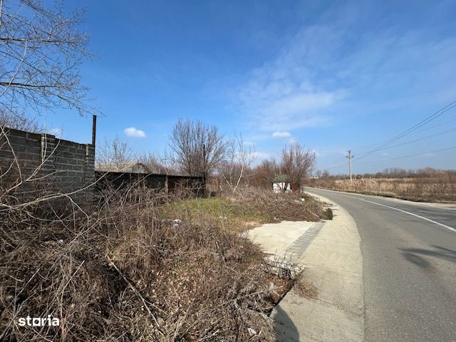 Poienarii Apostoli Gorgota 9500 mp teren intravilan