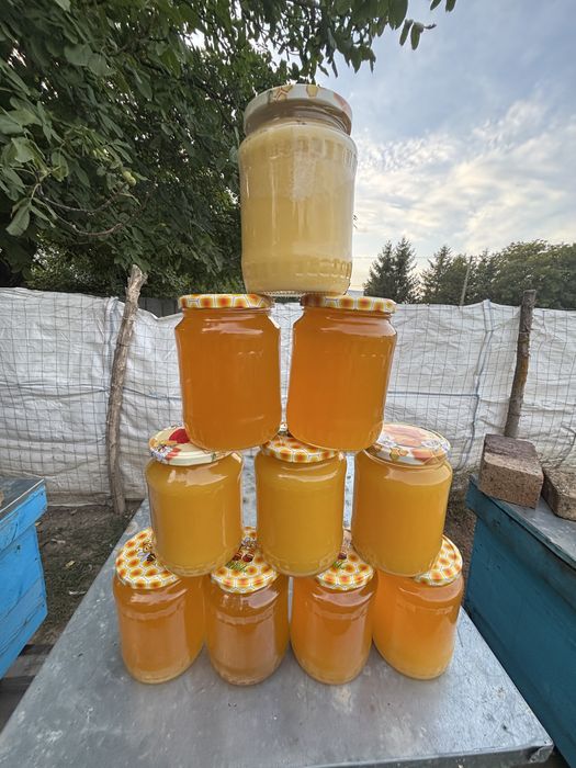 Miere poliflora si floarea soarelui