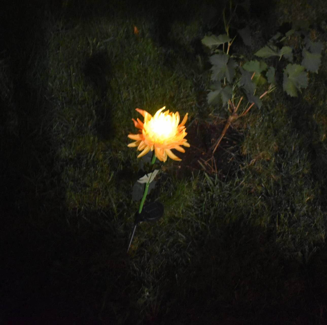 Lampi solare decorative de gradina tip floarea Crizantema galbena